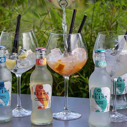 This is an image from Nemos Gallery